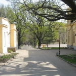 Аллея ЮРГТУ (НПИ). Справа — Энергетический факультет, слева — столовая