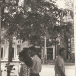 1970е. Улица Московская. Аптека