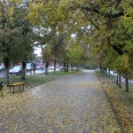 Осенняя аллея на Баклановском